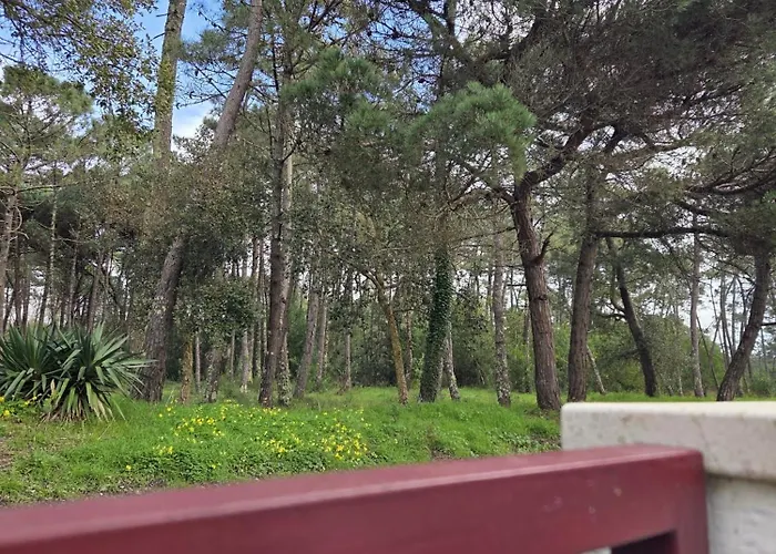 Villa Casa Do Canal Apúlia